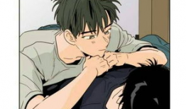 耽美野兽漫画,激情与野性的浪漫交响曲